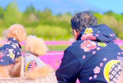 伴走型サポート